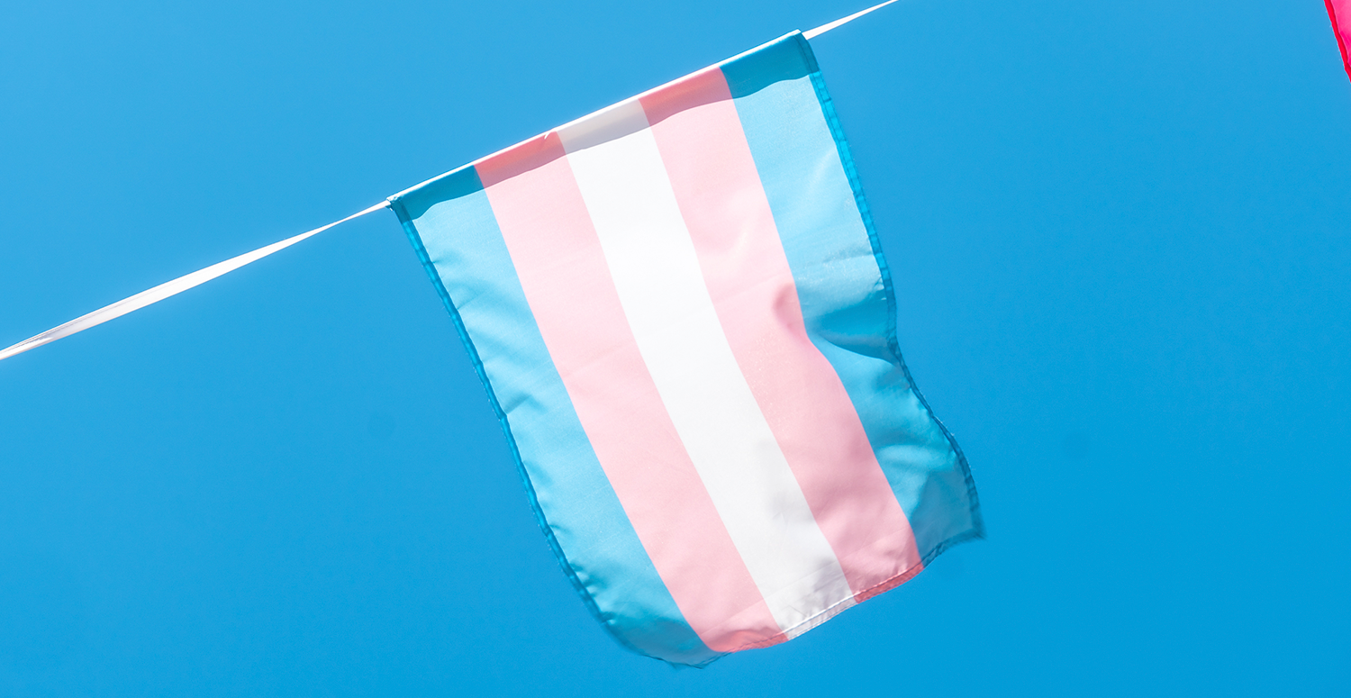 Leia mais sobre o artigo Contabilidade: primeira trans recebe título de doutorado na área