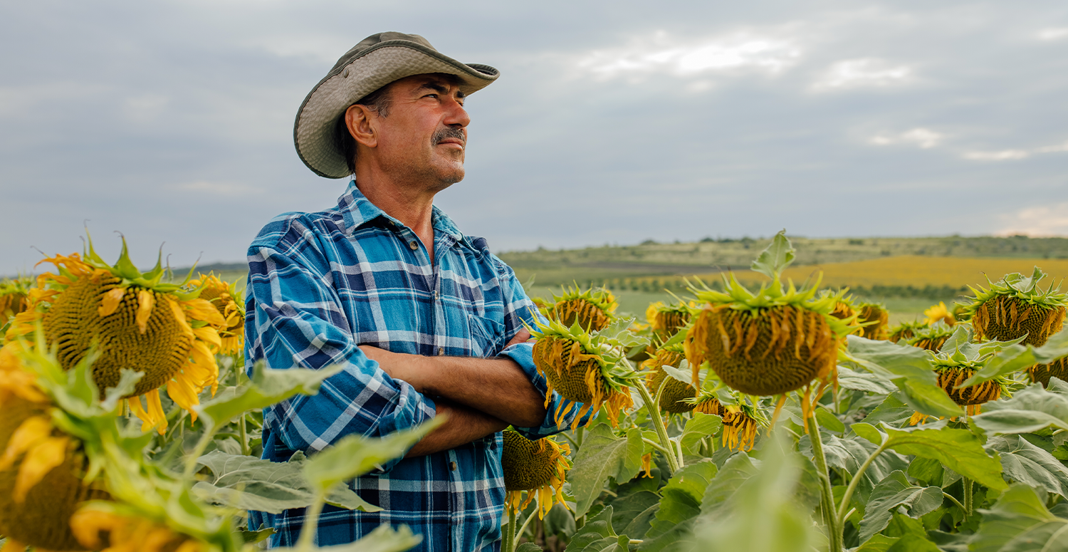 No momento, você está visualizando Governo lança nova linha de crédito para agricultores familiares
