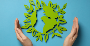 Leia mais sobre o artigo Lei facilita acesso a crédito para Microempresas e investidores sustentáveis