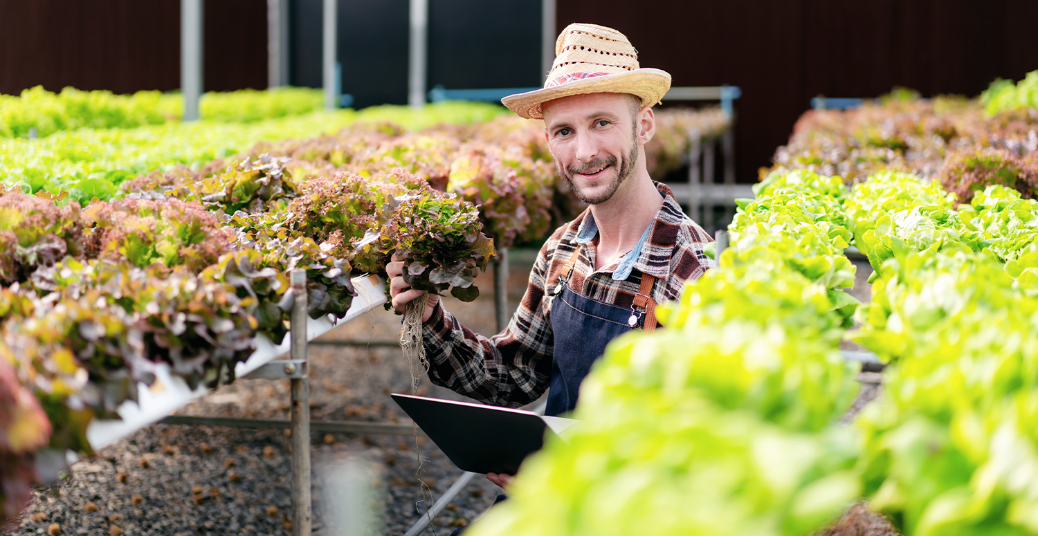 No momento, você está visualizando Agro: aprovado PL que concede isenção tributária para startups
