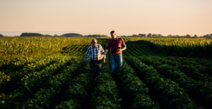 Leia mais sobre o artigo Estratégias tributárias e planejamento tributário para o agronegócio