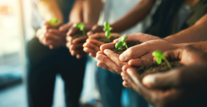 Leia mais sobre o artigo Sustentabilidade empresarial: o papel do contador na agenda ESG