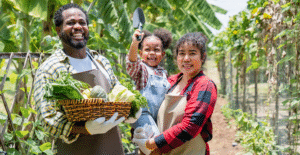 Leia mais sobre o artigo Descontos Pronaf: PGPAF concede até 67% de bônus para agricultores