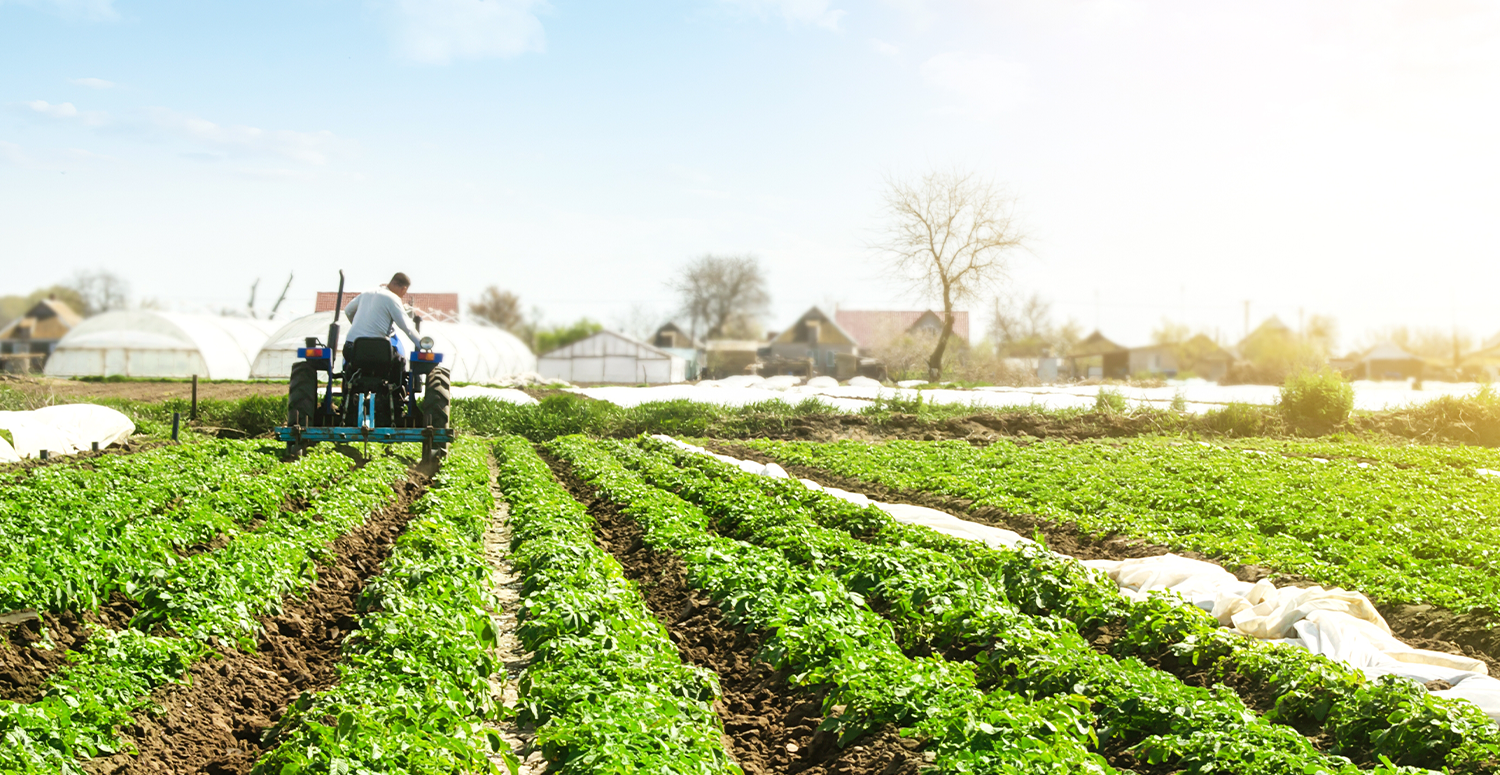 No momento, você está visualizando RFB publica regras para entrega da DITR 2025