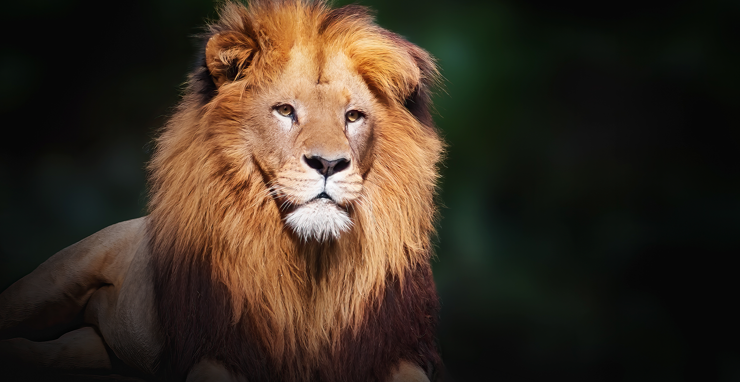 Leia mais sobre o artigo IRPF: CNC propõe ajustes em projeto que eleva isenção