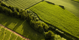 Leia mais sobre o artigo Receita já recebeu 1,87 mi de declarações do ITR 2025