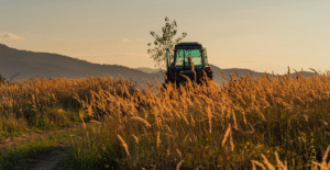 Leia mais sobre o artigo ITR 2025: Receita registra 1,3 milhão de entregas