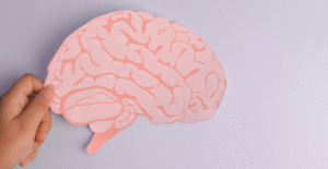 Leia mais sobre o artigo Seu cérebro contábil pode virar imortal