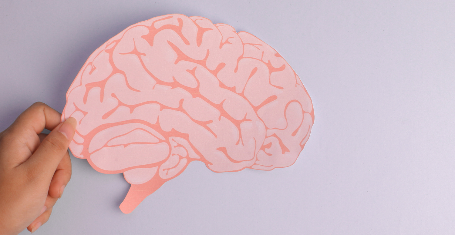 No momento, você está visualizando Seu cérebro contábil pode virar imortal