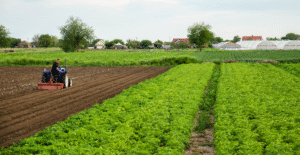 Leia mais sobre o artigo PL impede uso da base de cálculo do IPTU para cobrança do ITR