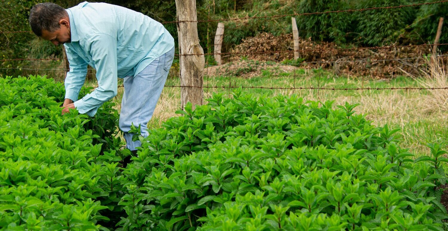 Leia mais sobre o artigo DITR 2025: prazo final é nesta terça-feira (30)