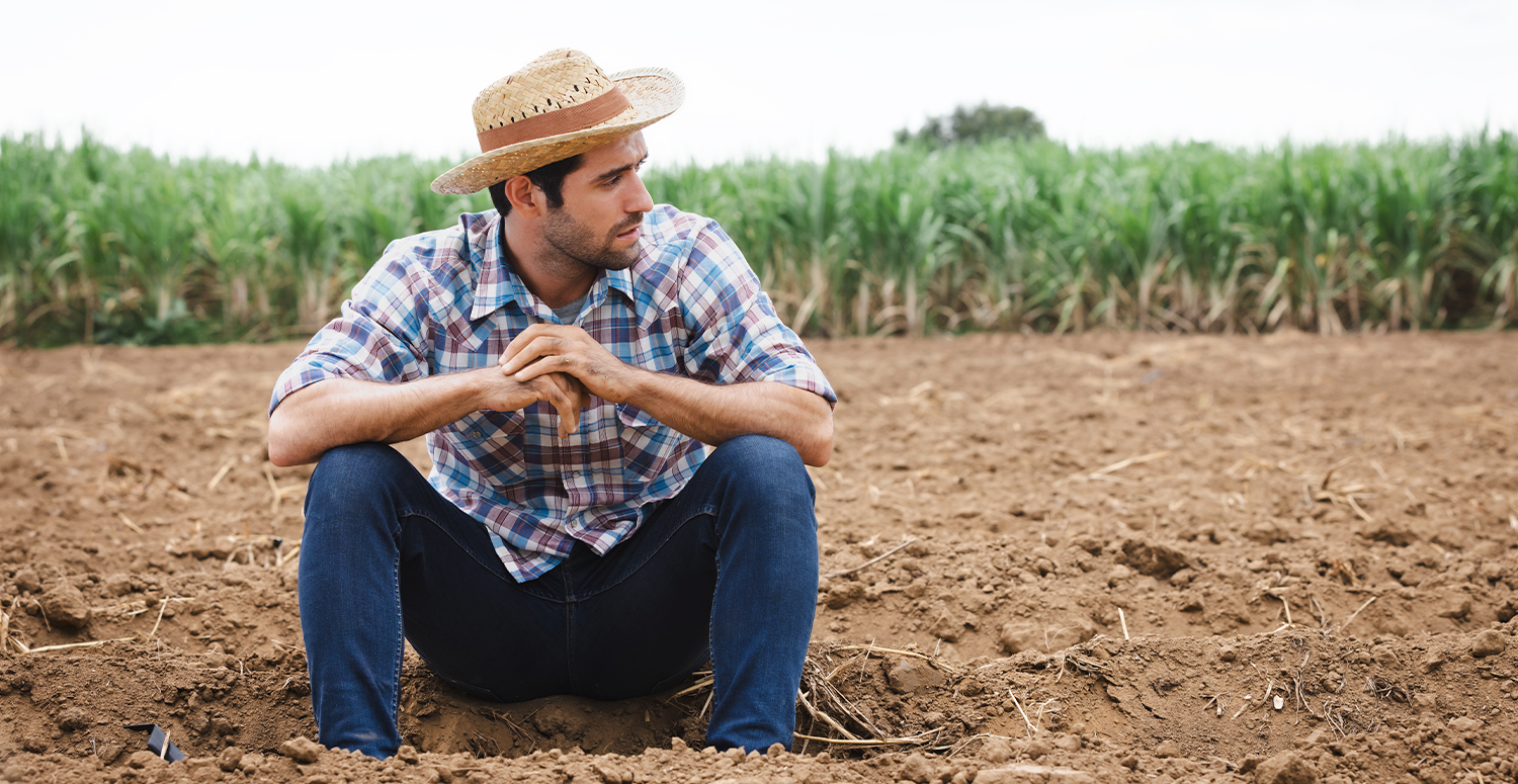 No momento, você está visualizando Receita Federal nega criação de malha fina no ITR