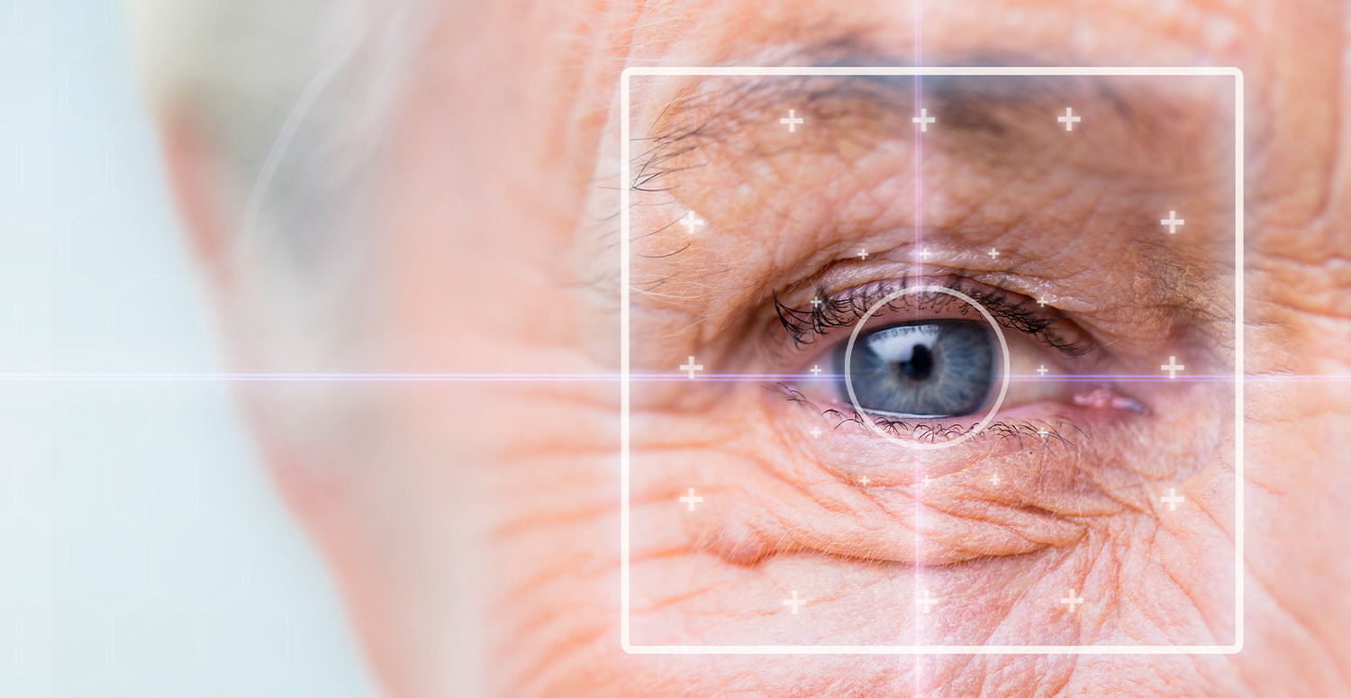 No momento, você está visualizando ANPD torna obrigatória a aferição de idade online