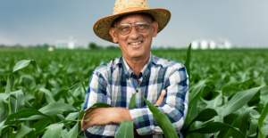 Leia mais sobre o artigo Receita Federal orienta produtores rurais sobre autorregularização