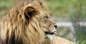 Leia mais sobre o artigo Aquecimento para o IRPF 2026: prepare-se para a entrega do ano