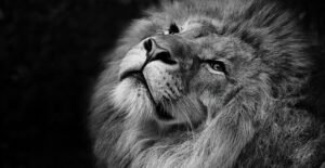 Leia mais sobre o artigo IR: 5 mitos que ainda confundem contribuintes