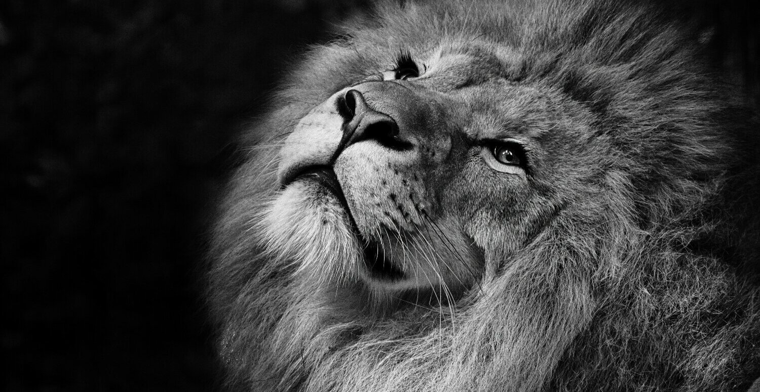 No momento, você está visualizando IR: 5 mitos que ainda confundem contribuintes