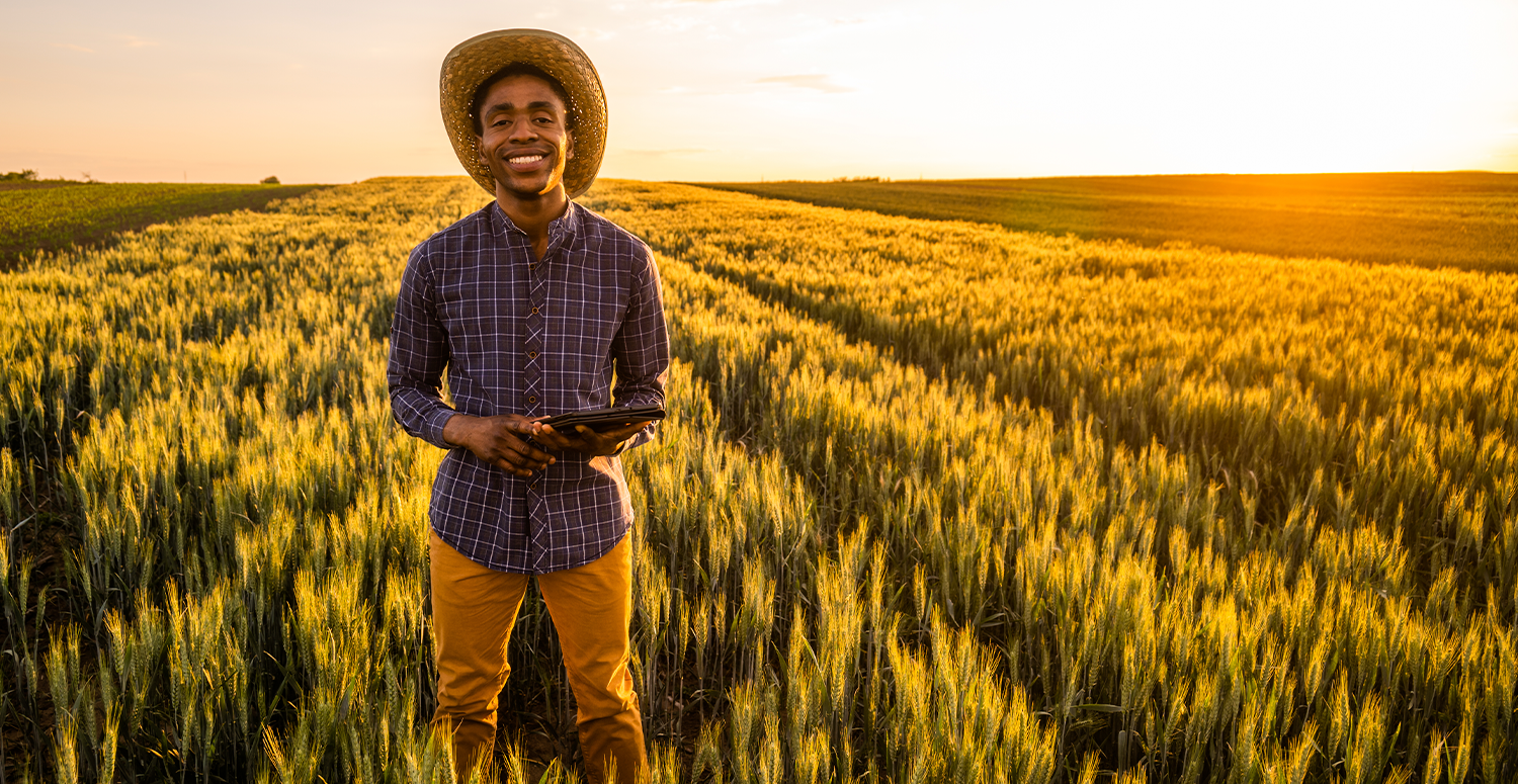 No momento, você está visualizando Reforma tributária pode alterar a formação de preços no agronegócio