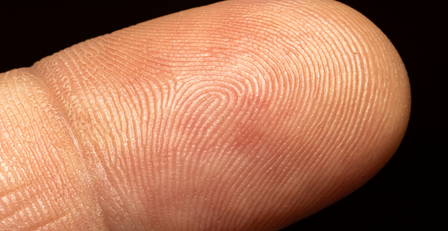 Leia mais sobre o artigo INSS dispensa milhões de segurados da biometria