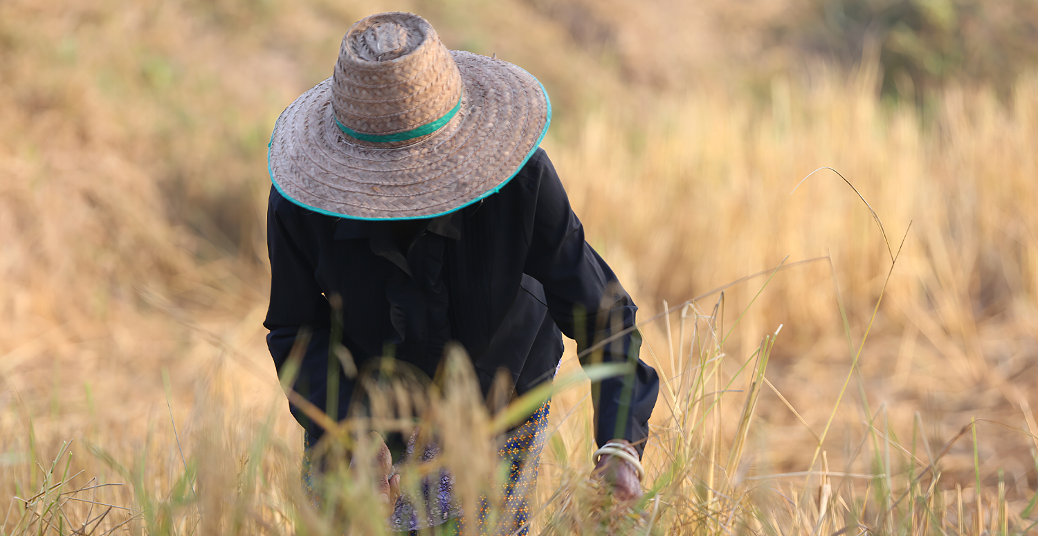 No momento, você está visualizando NR-31: MTE esclarece regra sobre chapéu e capacete no campo