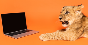 Leia mais sobre o artigo IRPF 2026: ChatBot do Leão responde quem precisa enviar declaração