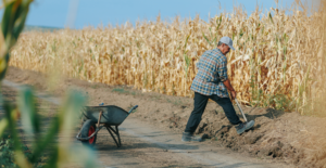 Leia mais sobre o artigo Trabalhadores rurais são isentos de multa para tempo de aposentadoria anterior a 1991
