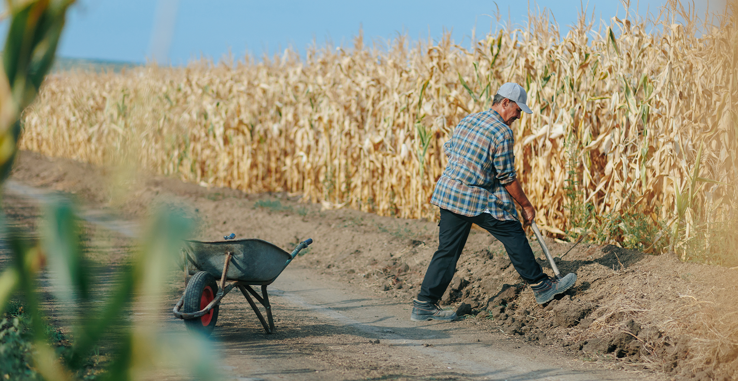 Leia mais sobre o artigo Trabalhadores rurais são isentos de multa para tempo de aposentadoria anterior a 1991