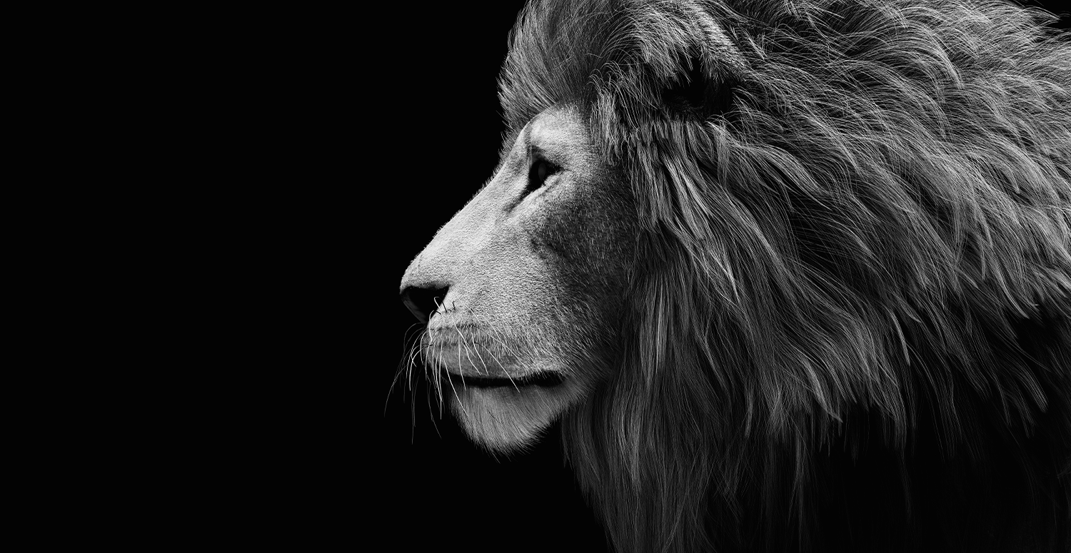 No momento, você está visualizando IR 2026: RFB inicia série de lives