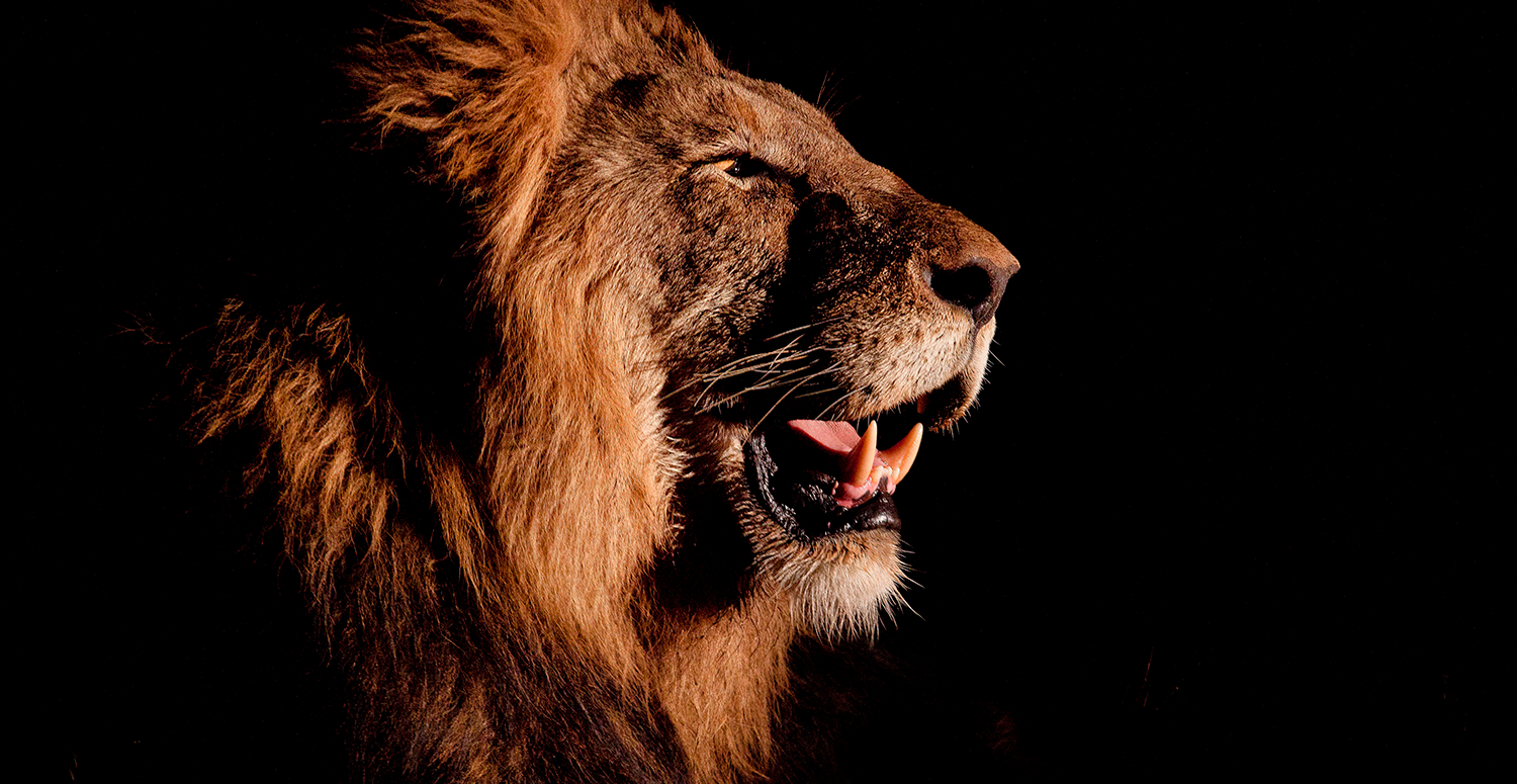 No momento, você está visualizando RFB libera regras do Imposto de Renda 2026; veja novidades