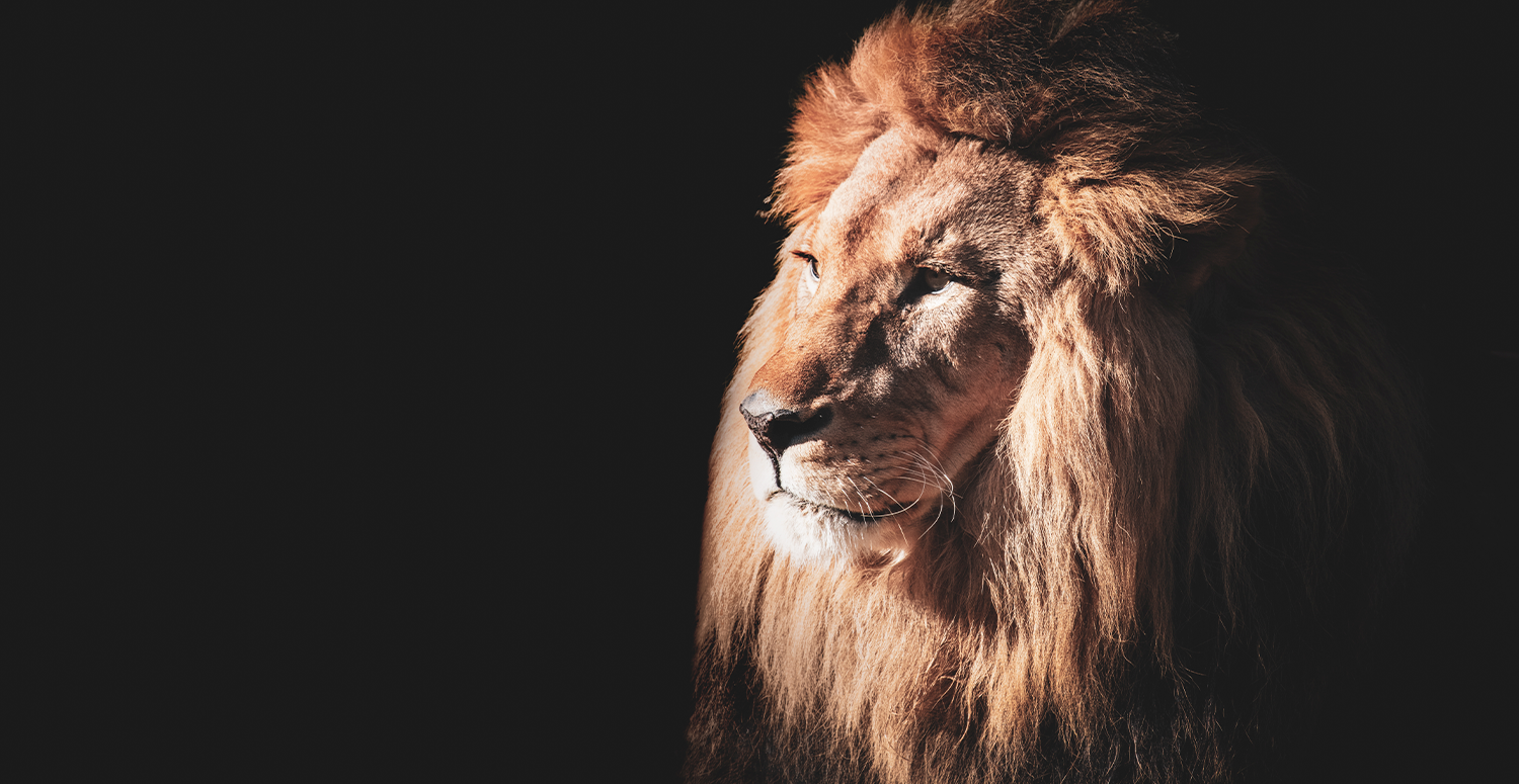 No momento, você está visualizando IRPF 2026: descubra as principais questões polêmicas da declaração