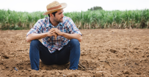 Leia mais sobre o artigo Governo propõe nova regra para dívidas do agro