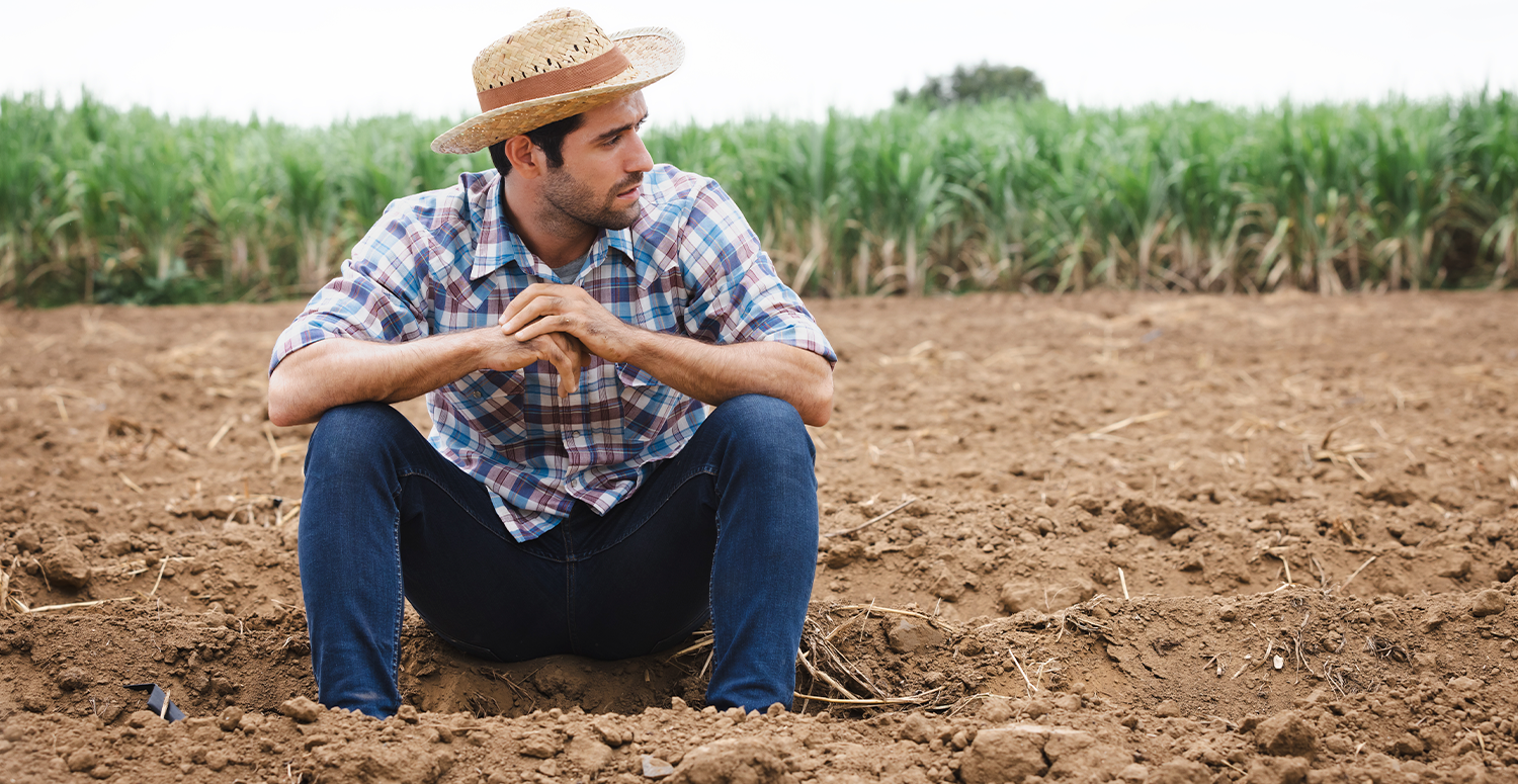 No momento, você está visualizando Governo propõe nova regra para dívidas do agro